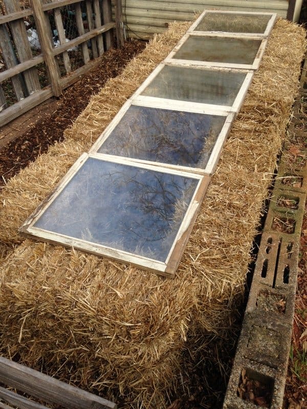 How to Make and Use a Straw Bale Cold Frame