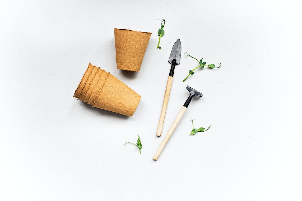 Gardening Tools and Sprouts On White Surface by Mikhail Nilov
